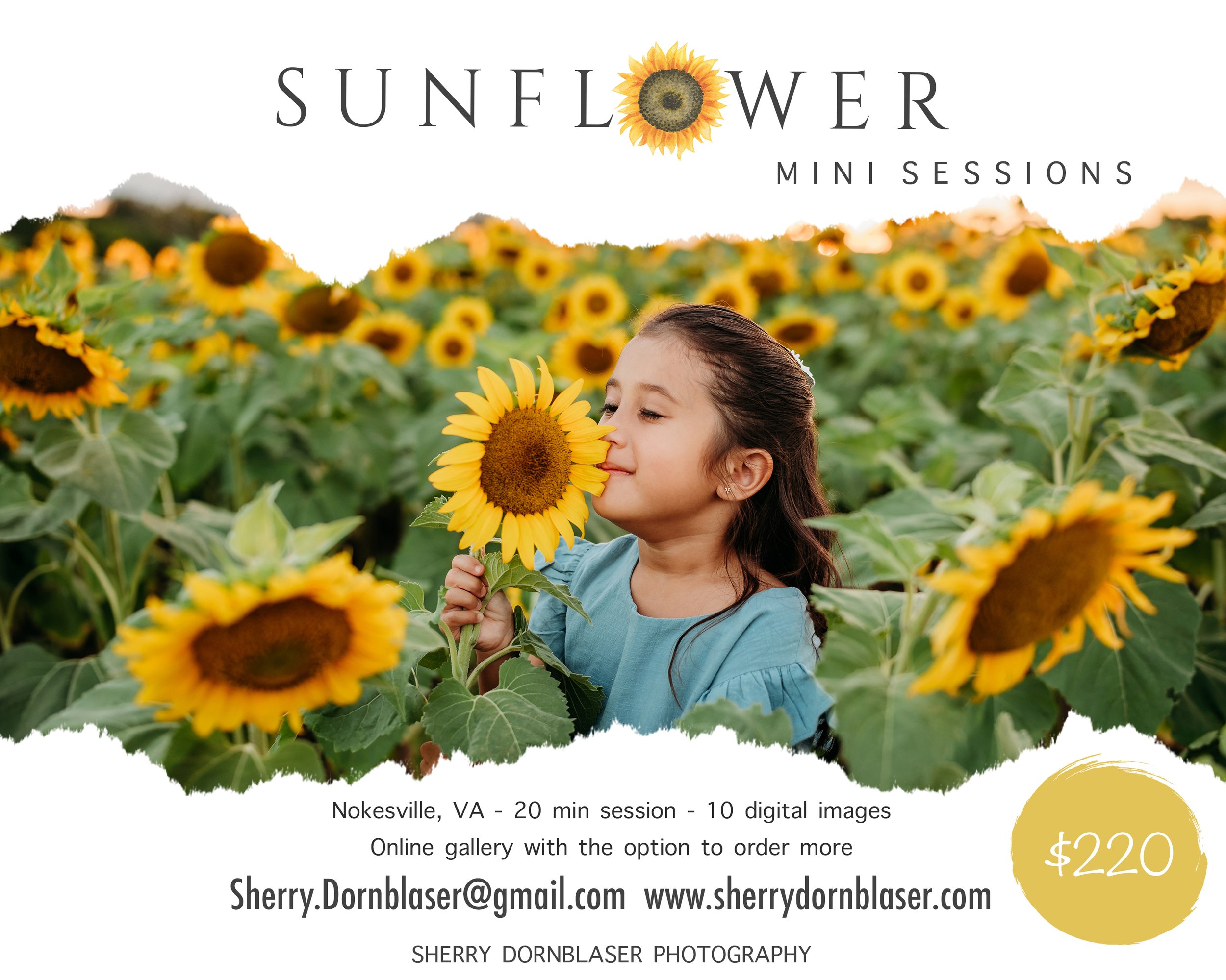 2024 Mini Sessions